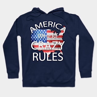 America Where Crazy Rules Hoodie